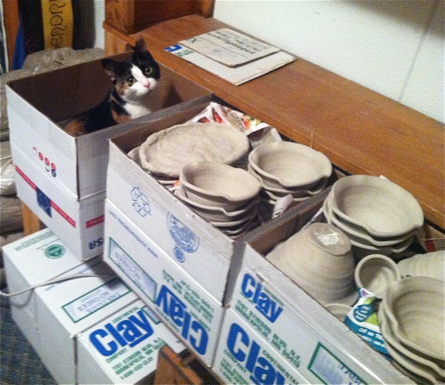 Cat in a Clay Box